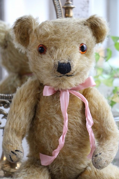 チルターンのベア テディベア チルターン イギリスベア イギリス