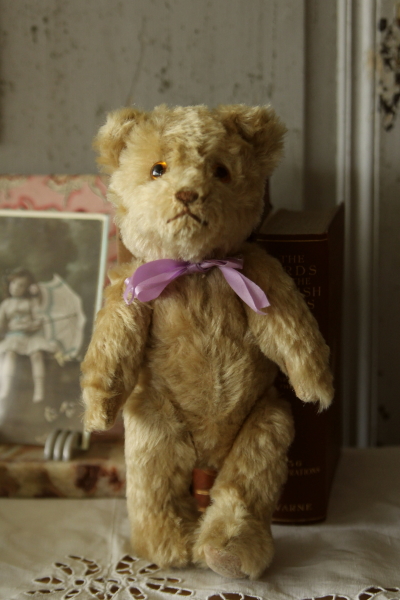 販売 マニー オタンジャディス Many テディベア マニー Many オタン