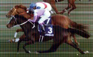 競馬 第44回有馬記念