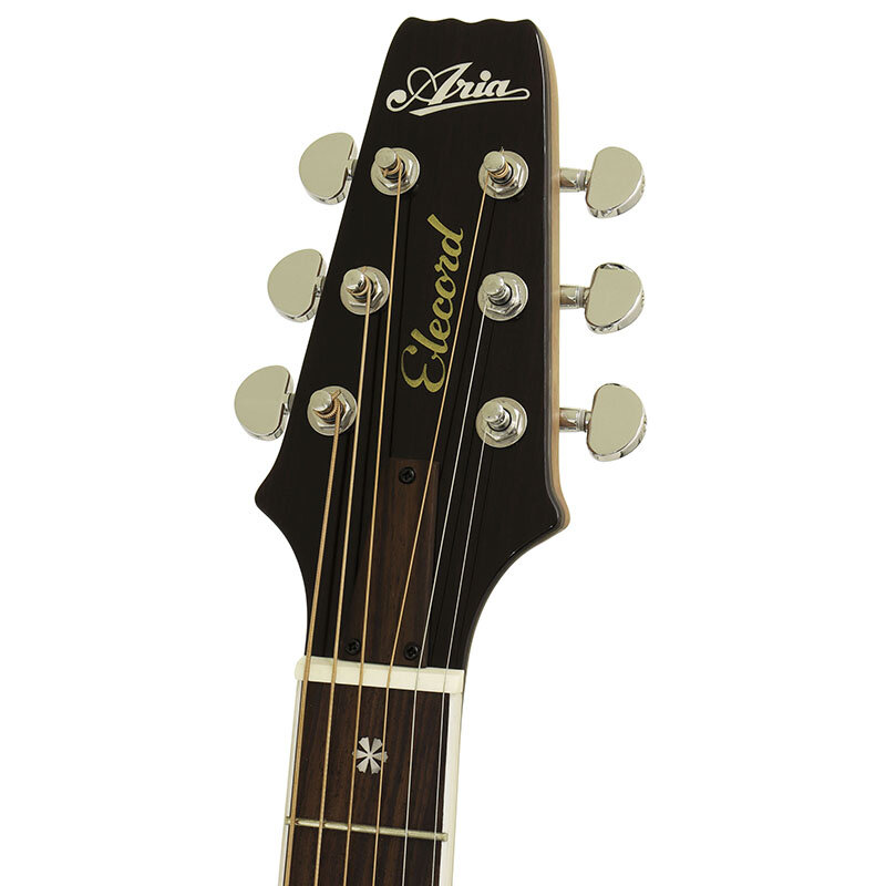 レオさん専用 ARIA Elecord AE-100 エレアコギター レオさん専用 ARIA