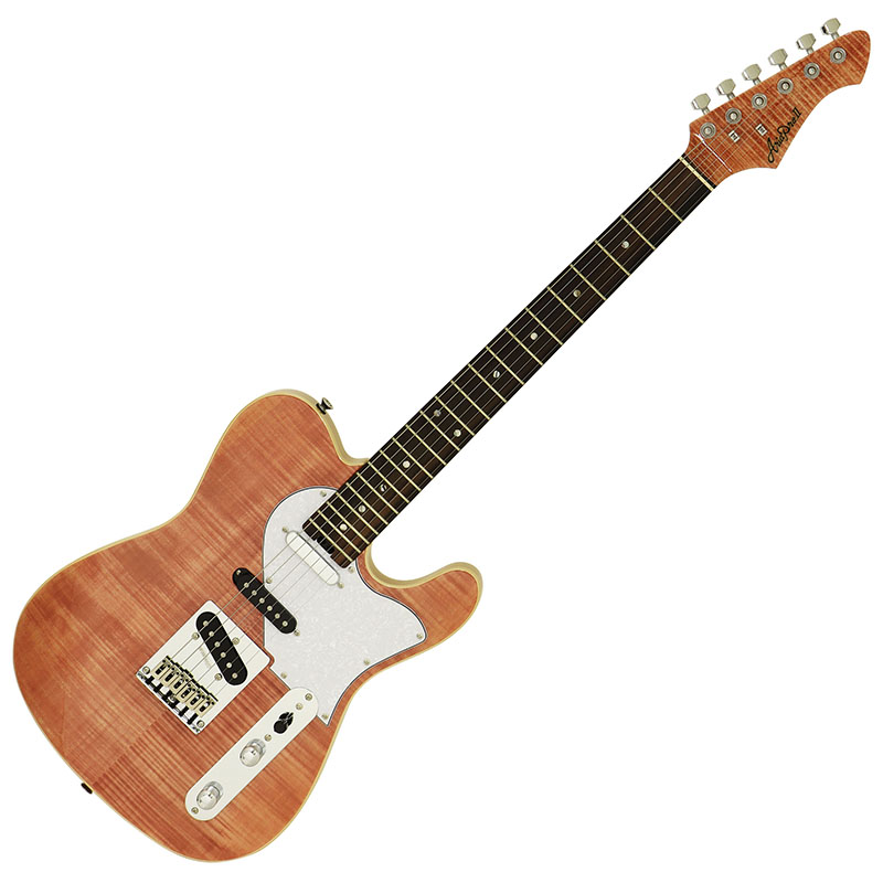 615-AE200 MP | AE -Aria Evergreen- | Products | ARIA 荒井貿易株式