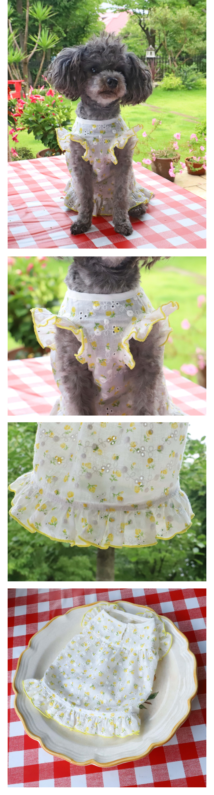 GG MADE IN TOKYO.』『GG+KIITI』『GG DENIM LINE』『Chocolat de