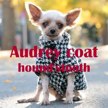 アトリエggコート