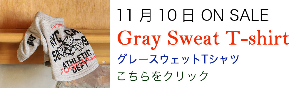 アトリエGG atelier gg ショコラデバニラシャツブラウス