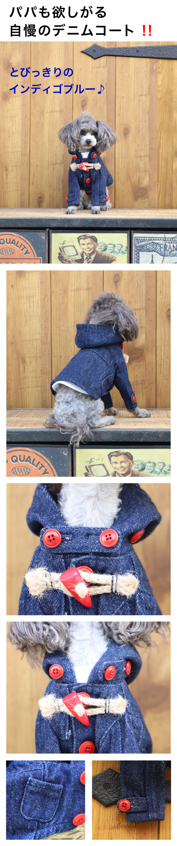 GG MADE IN TOKYO.』『GG+KIITI』『GG DENIM LINE』『Chocolat de