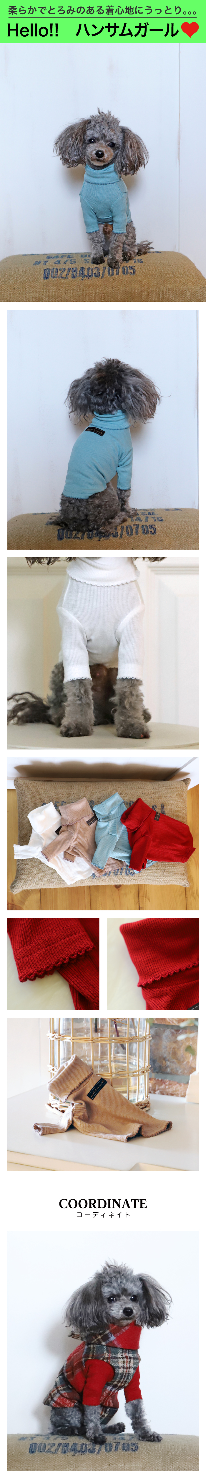 アトリエgg シャンブルブランシェ RD｜アトリエgg シャンブル