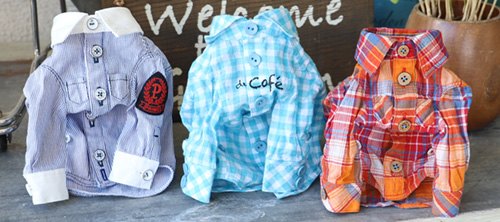 GG MADE IN TOKYO.』『GG+KIITI』『GG DENIM LINE』『Chocolat de