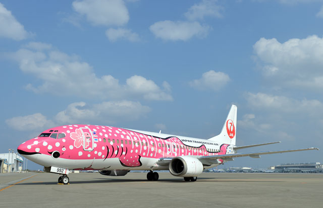 1/400 JTA JAL 日本航空 B737 JA06RK さくらジンベエ 51NNV-FQ1KL