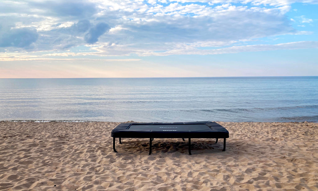 Beast 9x6 ft Mini Rectangle Trick Tramp – Beast Official Store