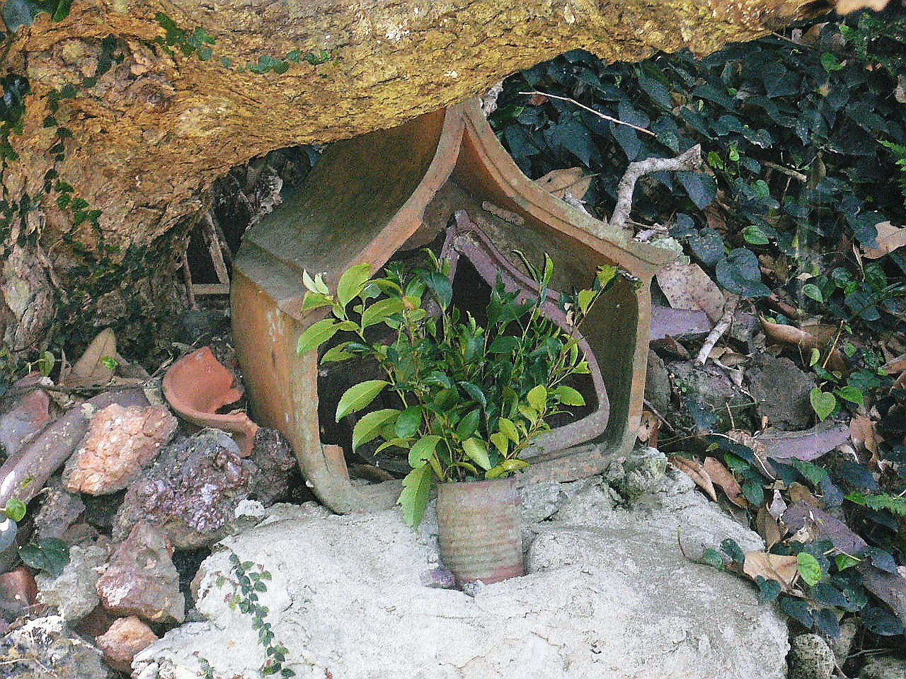 43.能野焼窯跡（よきのやきかまあと）／種子島 西之表市