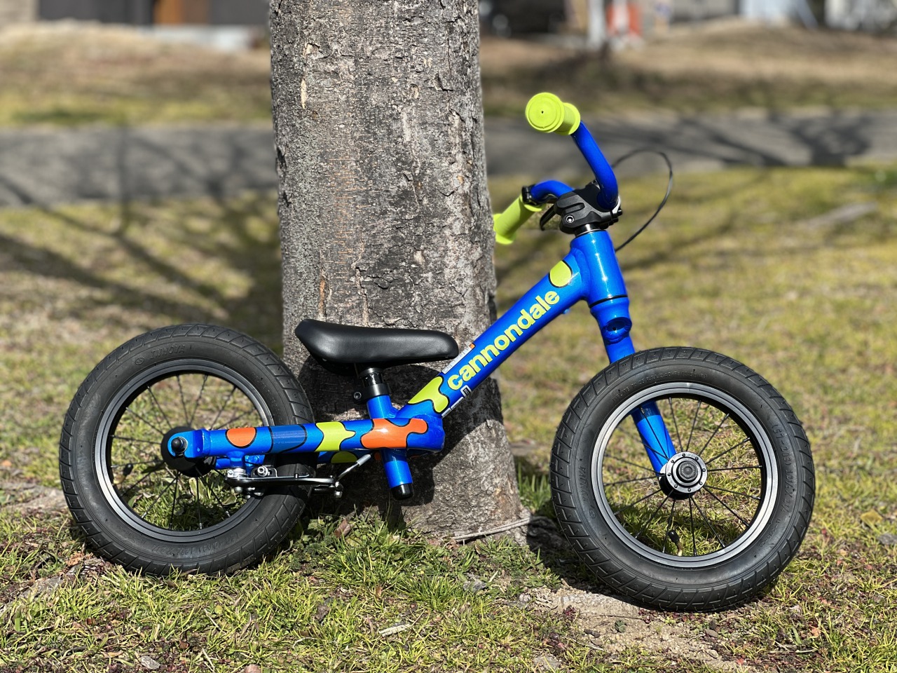 cannondale Kids Trail Balance12キックバイク納車しました！From Y