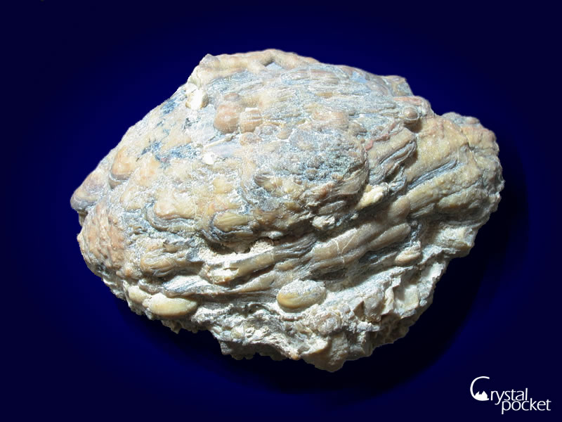 緋山酔恭「山水石美術館」 □レア品□ 球顆 流紋岩