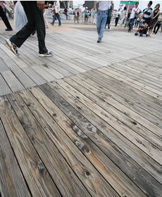 エコロジーレポート | EXPO 2005 AICHI,JAPAN