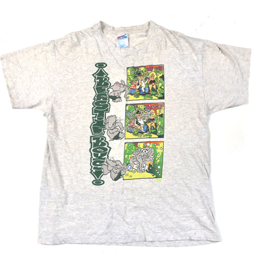 Vintage Beastie Boys T-shirt 1992 Rap Hip Hop Check Your Head MCA