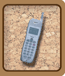 FMWORLD.NET(個人) : 携帯電話(ケータイ博物館) : 富士通