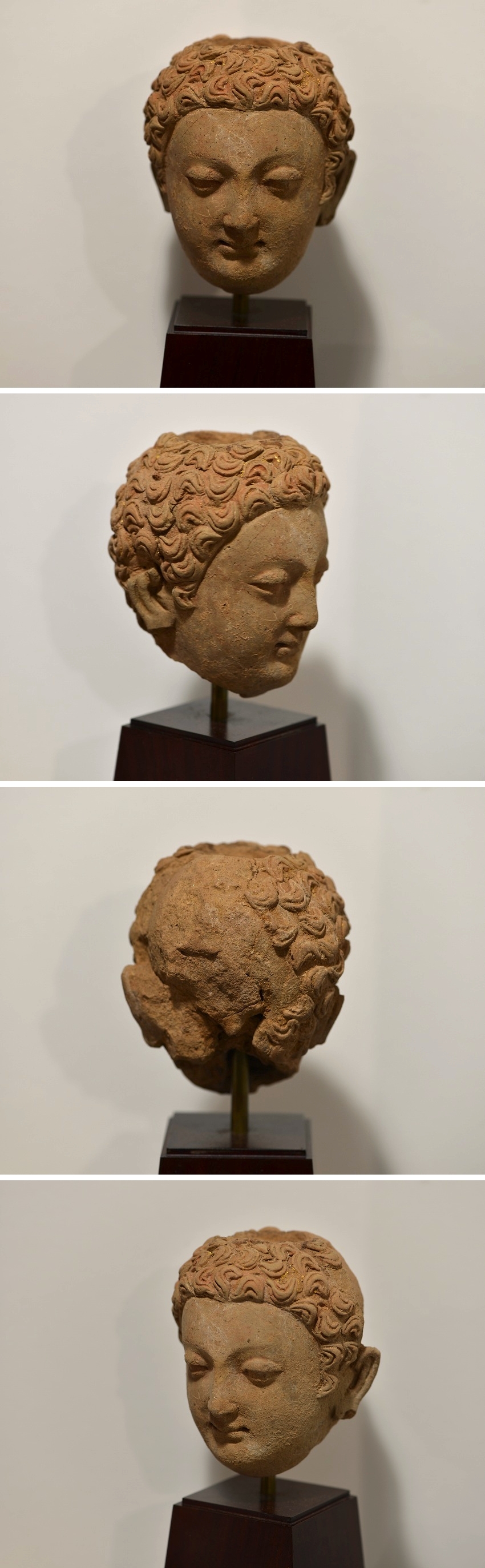 四方堂 - ガンダーラ 仏頭 | 古美術品専門サイト fufufufu.com