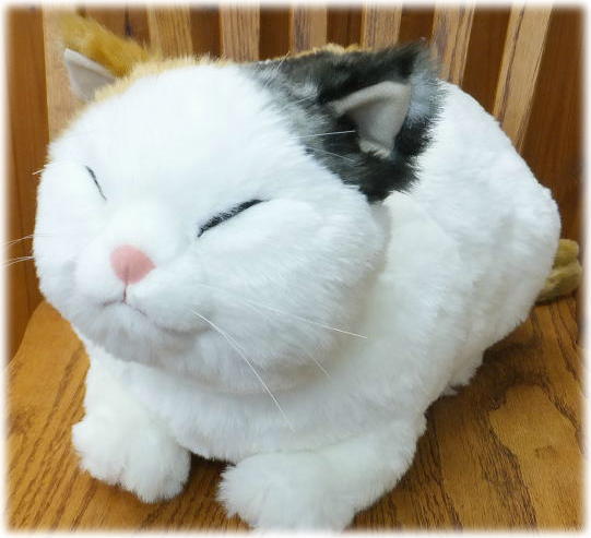 カドリー ねこ ぬいぐるみ わさ美【Cuddly／wasabi／ヌイグルミ／猫