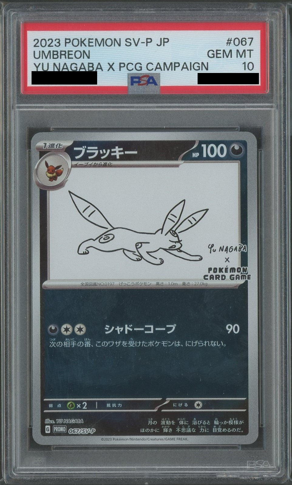 り*ん様 PSA10 ブラッキー⭐︎ 25th プロモ ブラッキー 25th プロモ