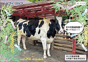 令和7年7月7日を記念して「北総鉄道7・7・7記念硬券セット」を発売