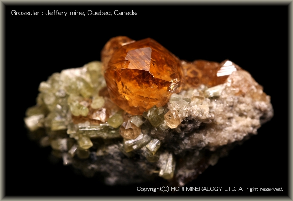 ホリミネラロジー 写真展