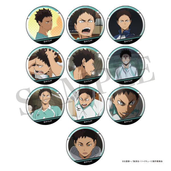 ハイキュー!! 岩泉がいっぱい場面写トレーディング缶バッジ【全10種