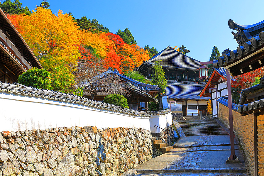 二月堂裏参道の桜 二月堂裏参道の桜 二月