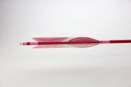 矢羽根 磯鷲 ナタ貝方 12枚 【公式通販】