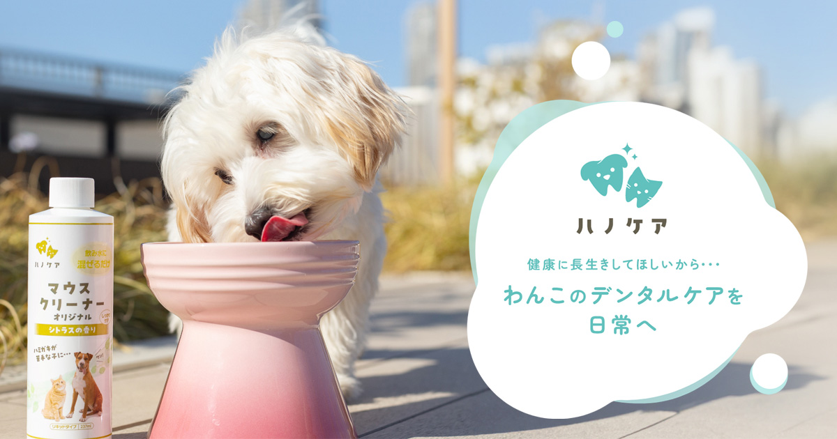 ハノケア キャットマウスクリーナー オリジナル | hanocare - ハノケア