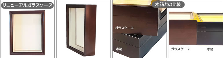 オオクジャクアゲハ , 蝶の標本 販売・通販のNatureShop|モルフォや