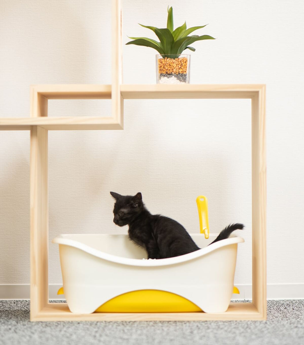 猫ハウス&キャットタワー 6BOX ｜ 猫のための木工所