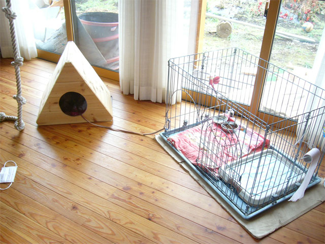 犬小屋製作 手作り総檜の犬の家-（長野県茅野市、諏訪市）