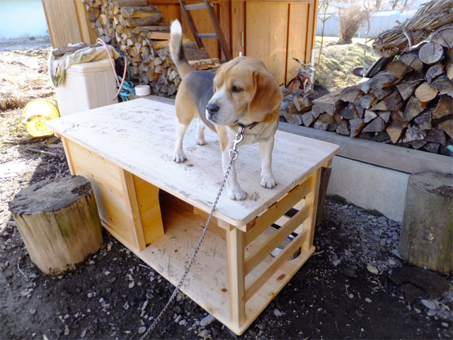 犬小屋製作 手作り総檜の犬の家-（長野県茅野市、諏訪市）