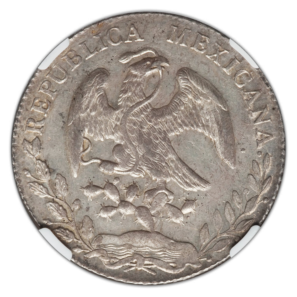 シルバー ゴールド アンティークコイン 1890 Zs FZ SILVER MEXICO 8