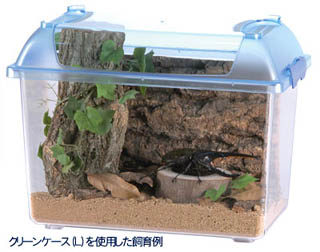 クリーンケース L ｜ 株式会社三晃商会