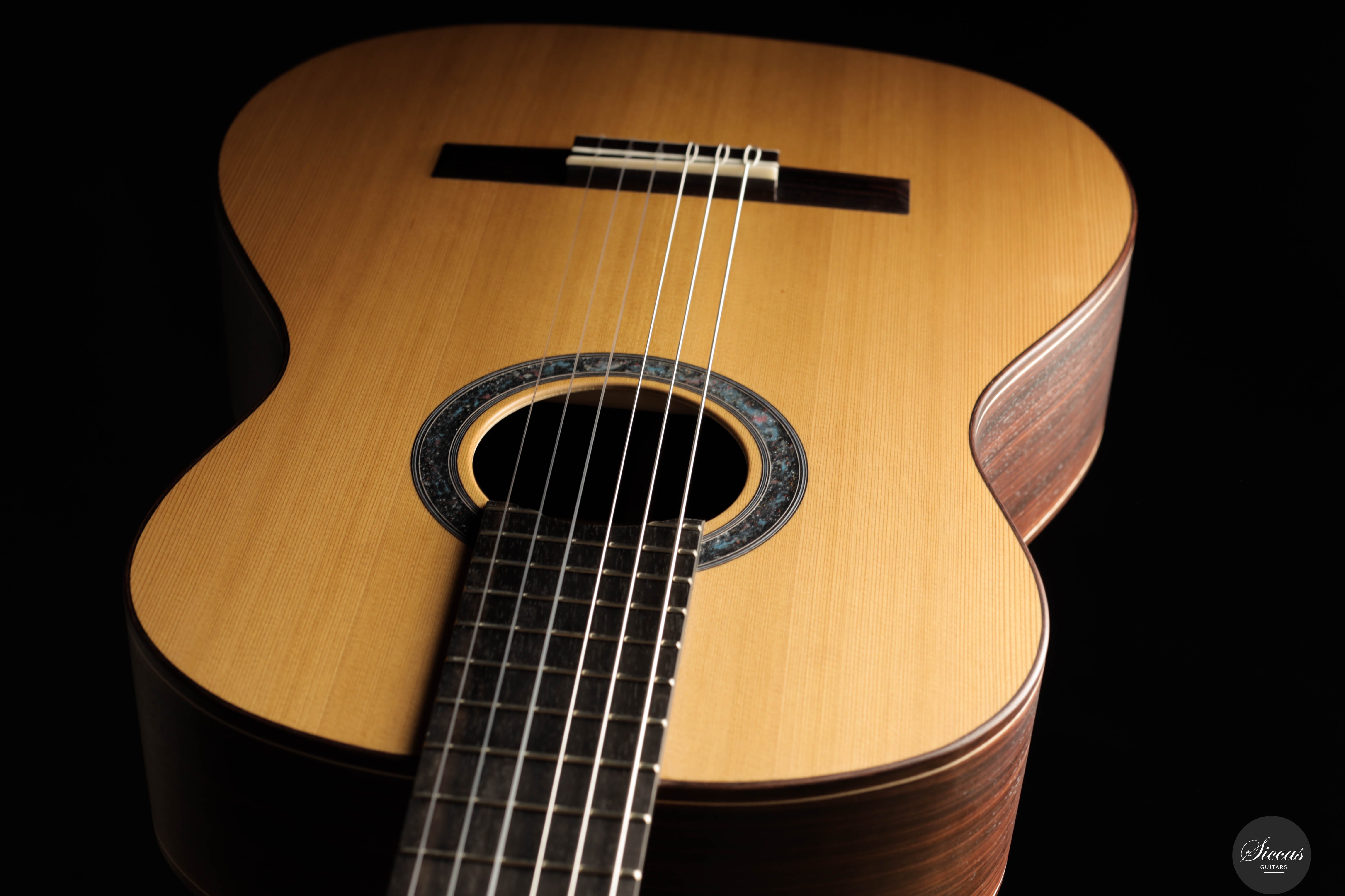 Marco Lijoi - 2025 - REG Limited Edition No.31 – Siccas Guitars