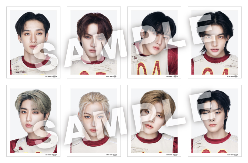 スキズ メンバー全員 サイン入り ポストカード social path トレカ