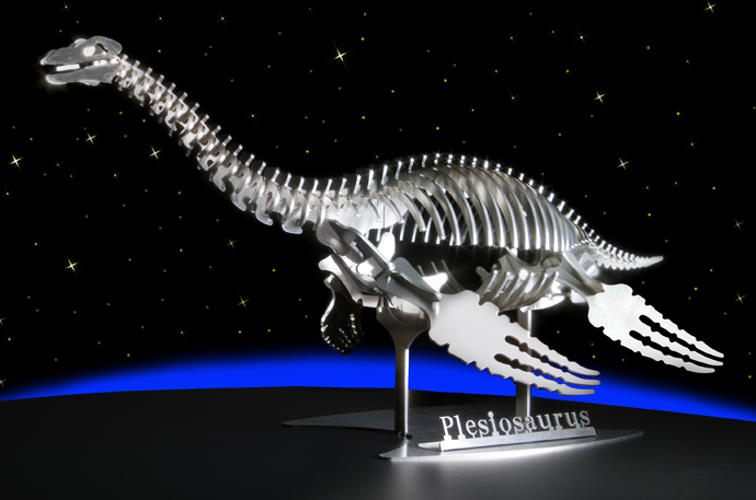 プレシオサウルスの仲間の骨化石