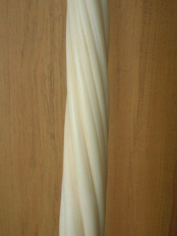 第21回 ウニコールとセイウチの見分け方