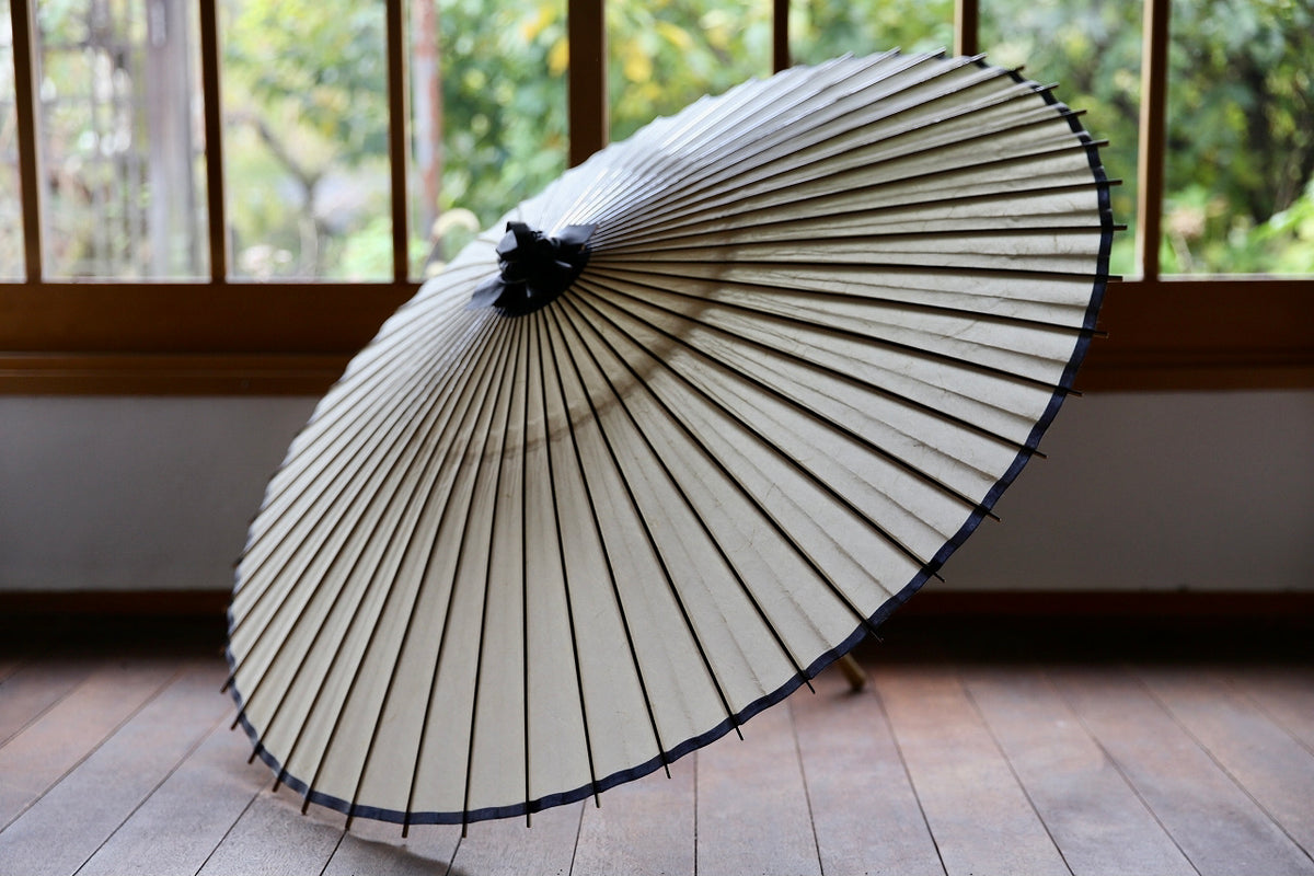 IMG_62812_1200x1200.jpg?v=