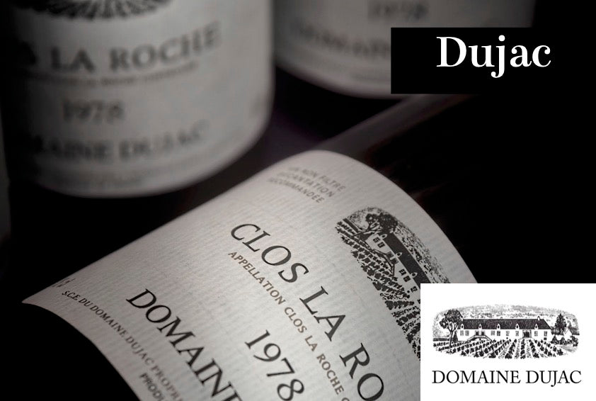 デュジャック / Dujac - Wine Library