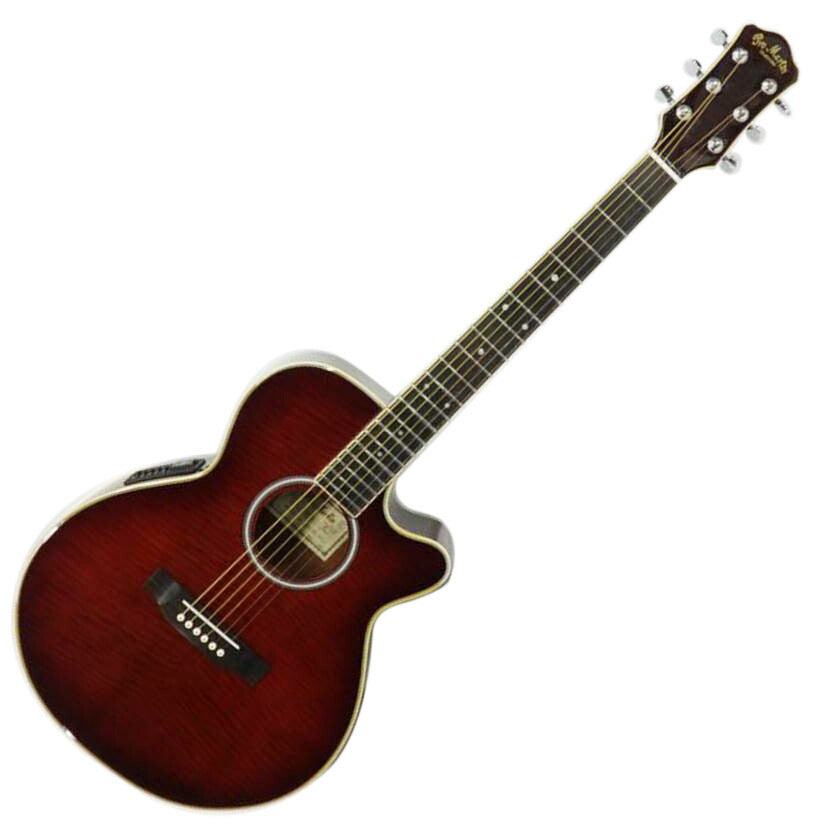 Pro Martin custom EA500W WRS エレアコ ギター Pro Martin プロ