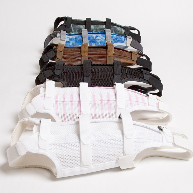 コルセット療法 | 保田動物病院