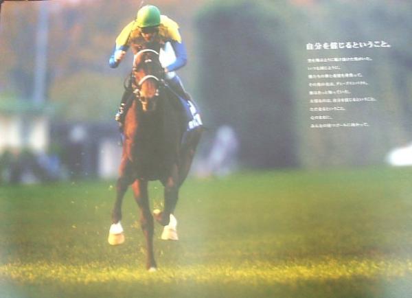 競馬］ ディープインパクト JRA ポスター「感動をありがとう」 A1 競馬