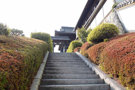 進化したX20 その7作例「建物」編 （FUJIFILM） #minpos #FUJIFILM