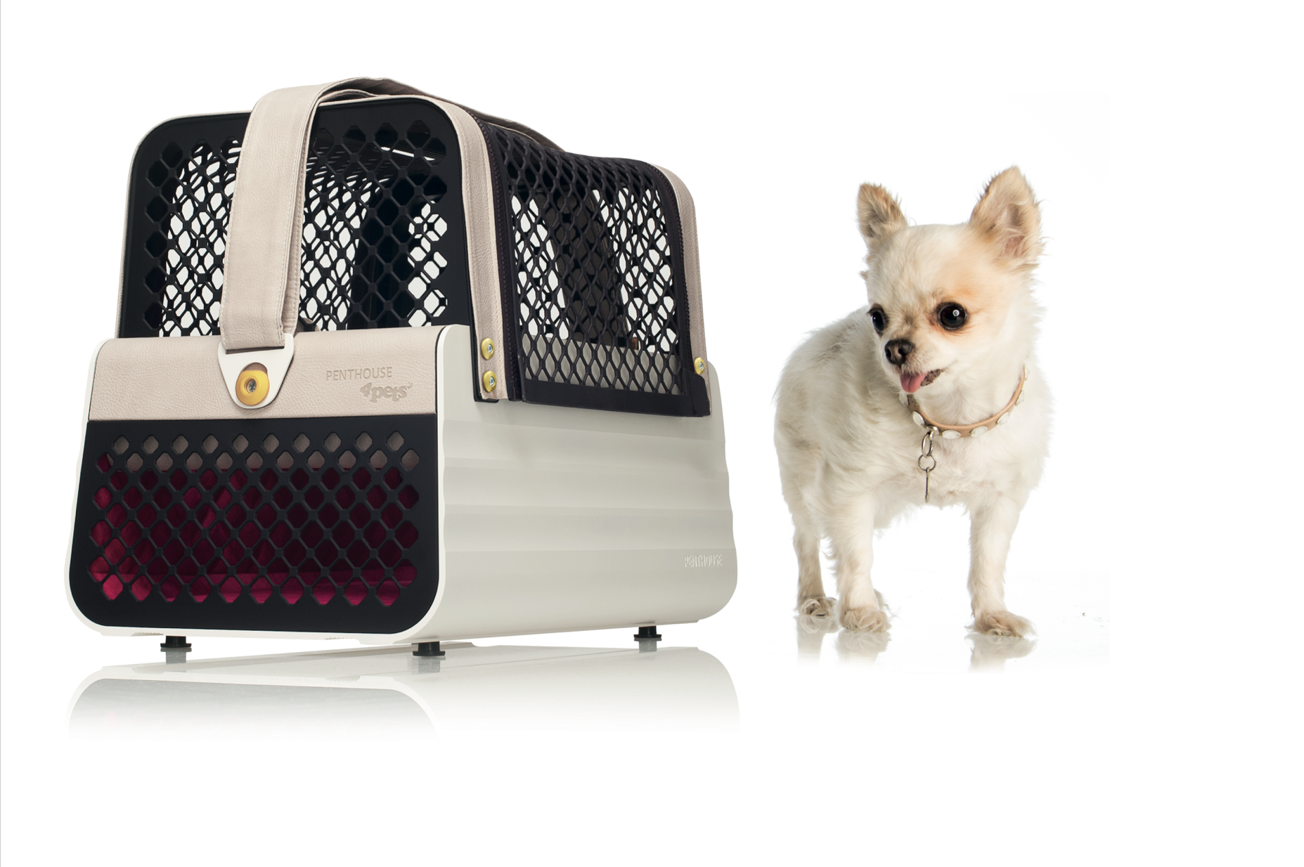 Penthouse Los Angeles – 4petsproducts