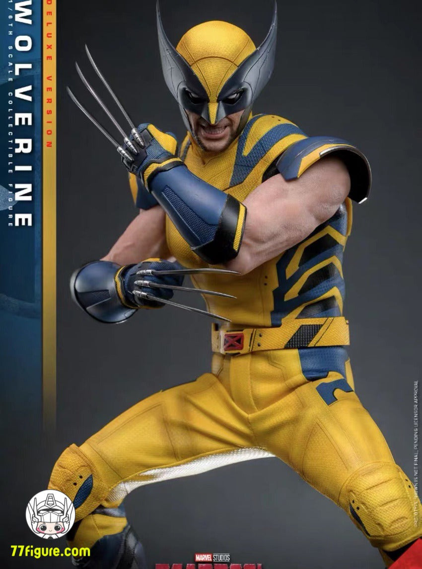 Hot Toys 1/6 MMS753 『デッドプール＆ウルヴァリン』ウルヴァリン