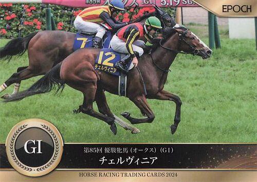 ホースレーシング 2024上半期 三浦皇成 サインホースレーシング