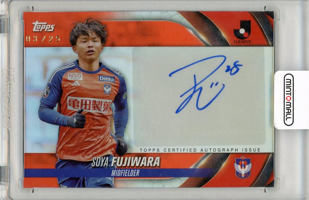 直筆サイン入り写真 サミール・ハンダノヴィッチ FCインテル・ミラノ