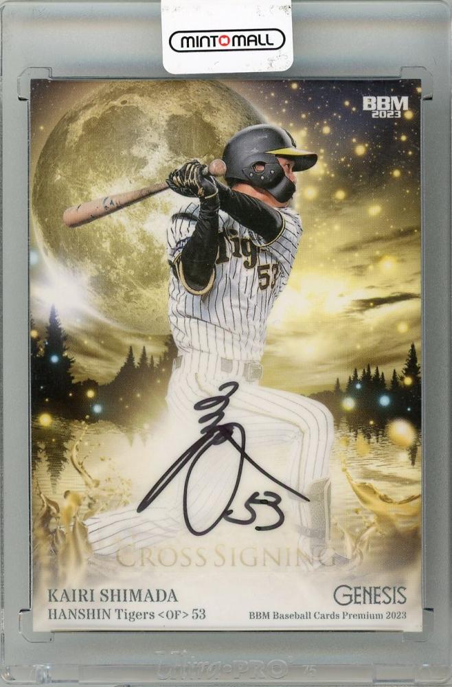 DAMIJAW ka-yu直筆メッセージ写真 DAMIJAW ka-yu直筆メッセージ写真