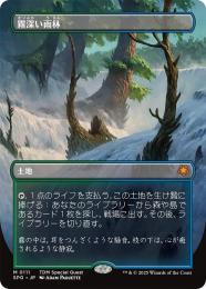 Misty Rainforest 【霧深い雨林】英語版ドラゴンスケイルfoil mtg 霧